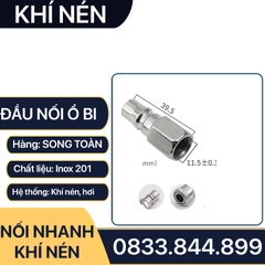 Khớp Nối Nhanh SF PF Khí Nén Ren Trong, Bộ Nối Nhanh Ổ Bi Ren Trong 13 17 21