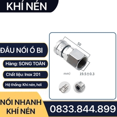 Khớp Nối Nhanh SF PF Khí Nén Ren Trong, Bộ Nối Nhanh Ổ Bi Ren Trong 13 17 21