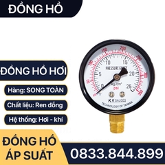 Đồng Hồ Dầu Áp Suất Mặt 100mm Chân Đứng Ren 3/8 (17)