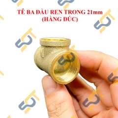 Tê Ren Trong, Tê Thau Ren Trong 21 27 34 - Đồng Đúc