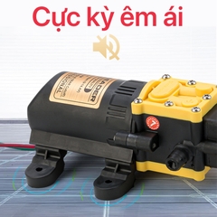 Máy Bơm Phun Sương, Máy Bơm Đơn Tăng Áp Phun Sương Sinleader 12V - Tặng kèm Dây Hút Lọc Mini