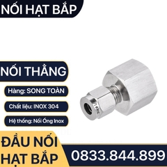 Nối Ren Trong Hạt Bắp Inox 304, Đầu Nối Ren Trong Côn Lõm Hạt Bắp Inox 304