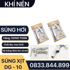 Súng Xịt Hơi Cầm Tay, Đầu Phun Xịt Hơi Cầm Tay Inox DG 10