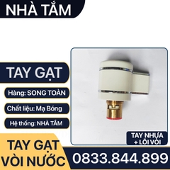 Tay Gạt Vòi Nước, Bộ Tay Vặn Vòi Nước Rời Thay Thế Tay Gạt Đã Cũ - Hư Hỏng