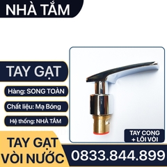 Tay Gạt Vòi Nước, Bộ Tay Vặn Vòi Nước Rời Thay Thế Tay Gạt Đã Cũ - Hư Hỏng