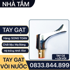 Tay Gạt Vòi Nước, Bộ Tay Vặn Vòi Nước Rời Thay Thế Tay Gạt Đã Cũ - Hư Hỏng