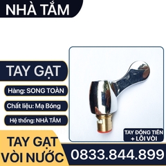 Tay Gạt Vòi Nước, Bộ Tay Vặn Vòi Nước Rời Thay Thế Tay Gạt Đã Cũ - Hư Hỏng