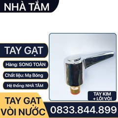 Tay Gạt Vòi Nước, Bộ Tay Vặn Vòi Nước Rời Thay Thế Tay Gạt Đã Cũ - Hư Hỏng