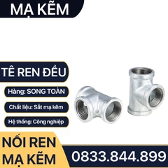 Tê Ren Trong Mạ Kẽm, Tê Ba Đầu Ren Trong Sắt Mạ Kẽm