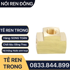 Tê 3 Đầu Ren Trong 9.6 13 17 21 Đồng Thau Nguyên Khối Phay Dày - T RT