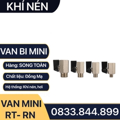 Van Hơi Mini Ren Trong Ren Ngoài, Van Khí Nén Áp Lực Cao Ren Trong Ren Ngoài 9.6 13 17 21 - Đồng Mạ