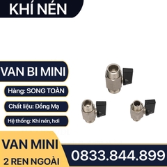 Van Hơi Mini Hai Ren Ngoài, Van Khí Nén Áp Lực Cao Hai Ren Ngoài 9.6 13 17 21 - Đồng Thau