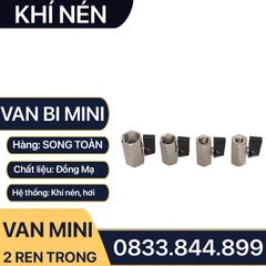 Van Hơi Mini Hai Ren Trong, Van Khí Nén Áp Lực Cao Hai Ren Trong 9.6 13 17 21 - Đồng Mạ