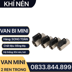 Van Hơi Mini Hai Ren Trong, Van Khí Nén Áp Lực Cao Hai Ren Trong 9.6 13 17 21 - Đồng Mạ