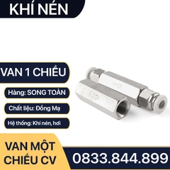 Van Một Chiều Khí Nén, Van Một Chiều Hơi CV Ren Trong 9.6 13 17 21mm - Đồng Mạ