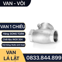 Van Một Chiều, Van 1 Chiều Lá Lật Inox 304