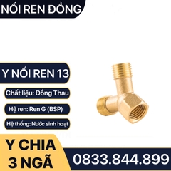 Nối Ren Chữ Y, Nối Ren Trong Ren Ngoài Chữ Y Chân Ren 13 - Đồng Thau