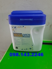 Mega Men