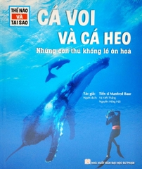 Thế Nào Và Tại Sao: Cá Voi Và Cá Heo Những Con Thú Khổng Lồ Ôn Hòa