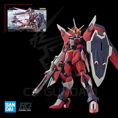 HGCE 244 1/144 STTS-808 Immortal Justice Gundam