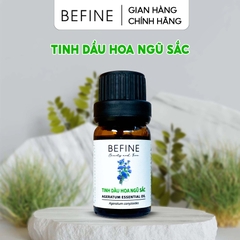 Tinh dầu Hoa Ngũ Sắc - Ageratum Essential Oil