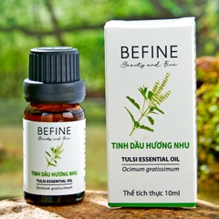 Tinh dầu Hương Nhu - Ocimum gratissimum Essential Oil