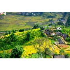 HÀ NỘI –SAPA – HẠ LONG – YÊN TỬ – BÁI ĐÍNH – TRÀNG AN