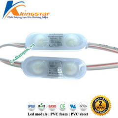 Led Hàn Quốc Startec 2 bóng R02C160