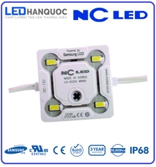 Đèn led module 4 bóng NC-LX-ECO4-SS2835-12K