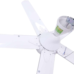 Quạt Trần Mitsubishi 5 cánh C56RQ5 68W màu trắng