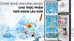 Tủ lạnh Aqua AQR-T249MA(SV) Inverter 235 lít