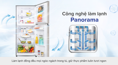 Tủ lạnh Panasonic NR-TV261APSV Inverter 234 lít