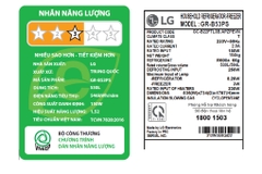 Tủ lạnh LG GR-B53PS Inverter 530 lít