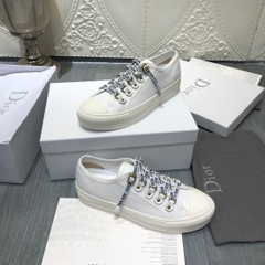 CD Sneakers