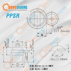 Khóa vị trí con trượt PPSR