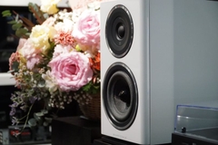 Loa nghe nhạc Wharfedale Evo 4.1