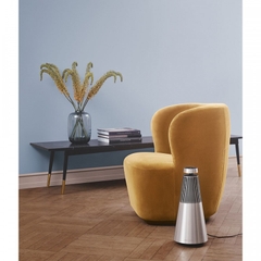 Loa B&O Beosound 2