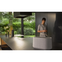 Loa bluetooth Harman Kardon Citation 300