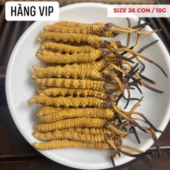 Đông Trùng Hạ Thảo Tây Tạng Vip - 30con/10g Hàng Tuyển Chọn