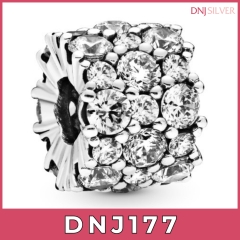 Charm bạc 925 cao cấp, bộ tổng hợp các mẫu charm bạc DNJ để mix vòng charm - Bộ sản phẩm từ DN166 đến DN181 - TH11