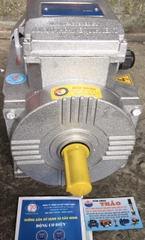 MOTOR 3.0KW (4HP) TOÀN PHÁT