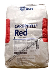 CAROPHYLL RED 10% (DSM)