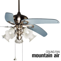 Quạt trần đèn Mountain Air 2841