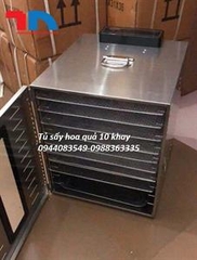 Tủ sấy hoa quả 10 khay