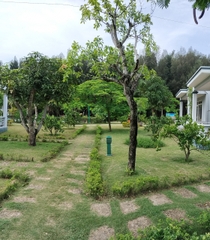 BUNGALOW HƯỚNG VƯỜN