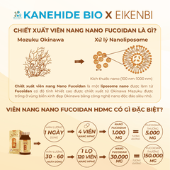 Viên Uống Phòng & Hỗ Trợ Điều Trị Ung Thư Nano Fucoidan Okinawa Kanehide Bio x Eikenbi (Hộp 120 viên)