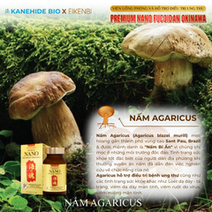 Viên Uống Phòng & Hỗ Trợ Điều Trị Ung Thư Nano Fucoidan Okinawa Kanehide Bio x Eikenbi (Hộp 120 viên)