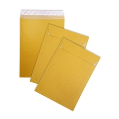 Bao Hồ Sơ Vàng Lột Dán 25.6 x 35.6 cm (10 Cái/Xấp)