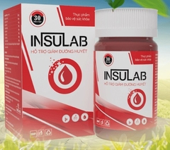 Insulab