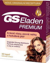 GS Eladen
